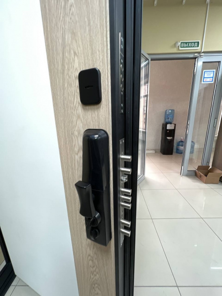 ТЕЙЯ (ЭЛЕКТРОННЫЙ ЗАМОК)